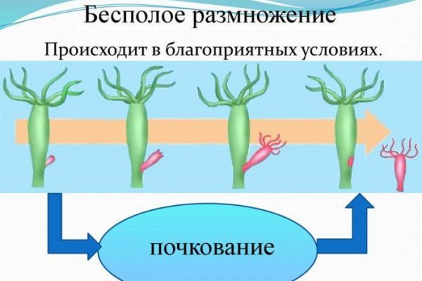 Блэк спрут официальная ссылка 1blacksprut me