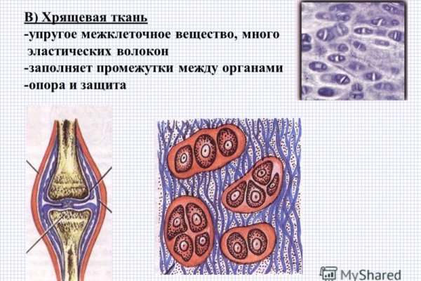 Блекспрут рабочее зеркало 1blacksprut me